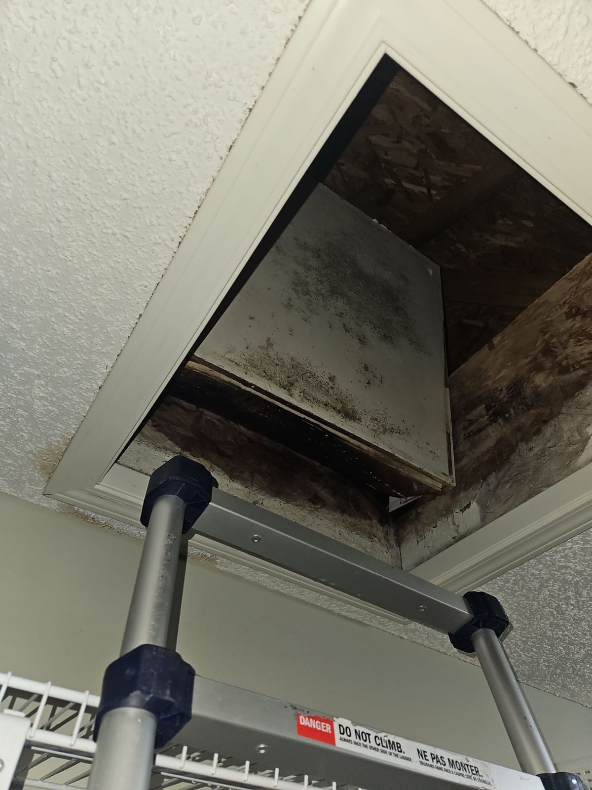 Attic hatch trim and door with mold from condensation