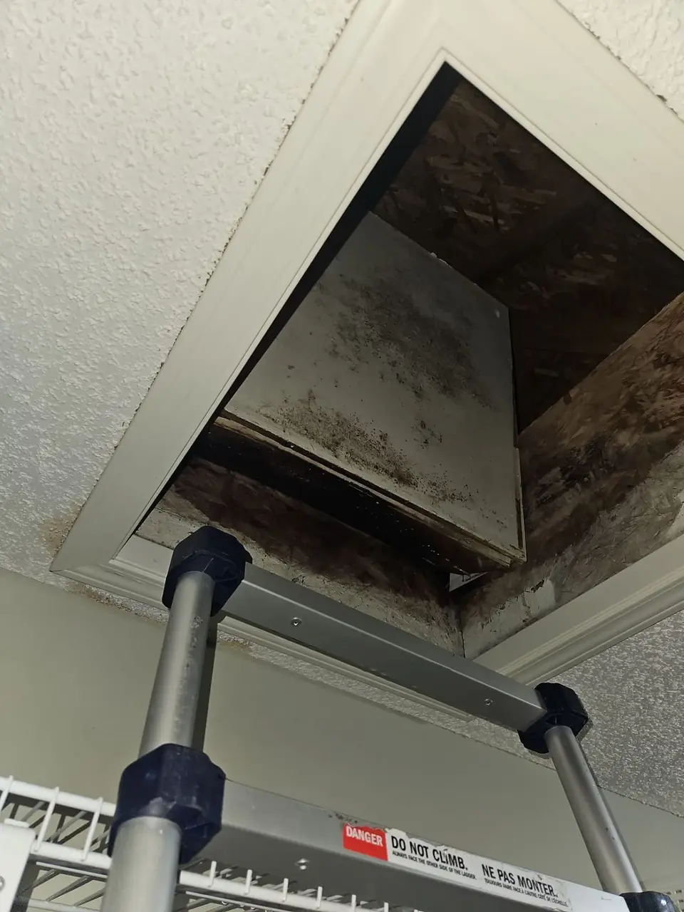 Attic hatch trim and door with mold from condensation