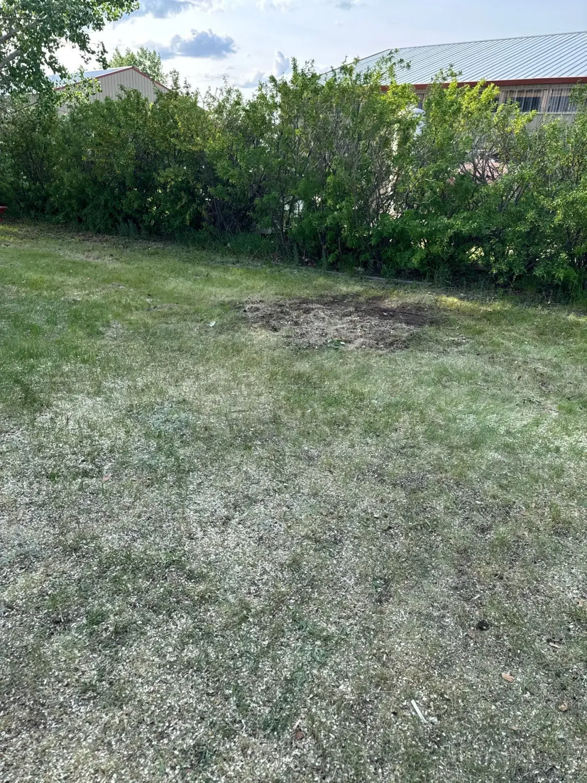 post stump removal the area was raked and free of debris