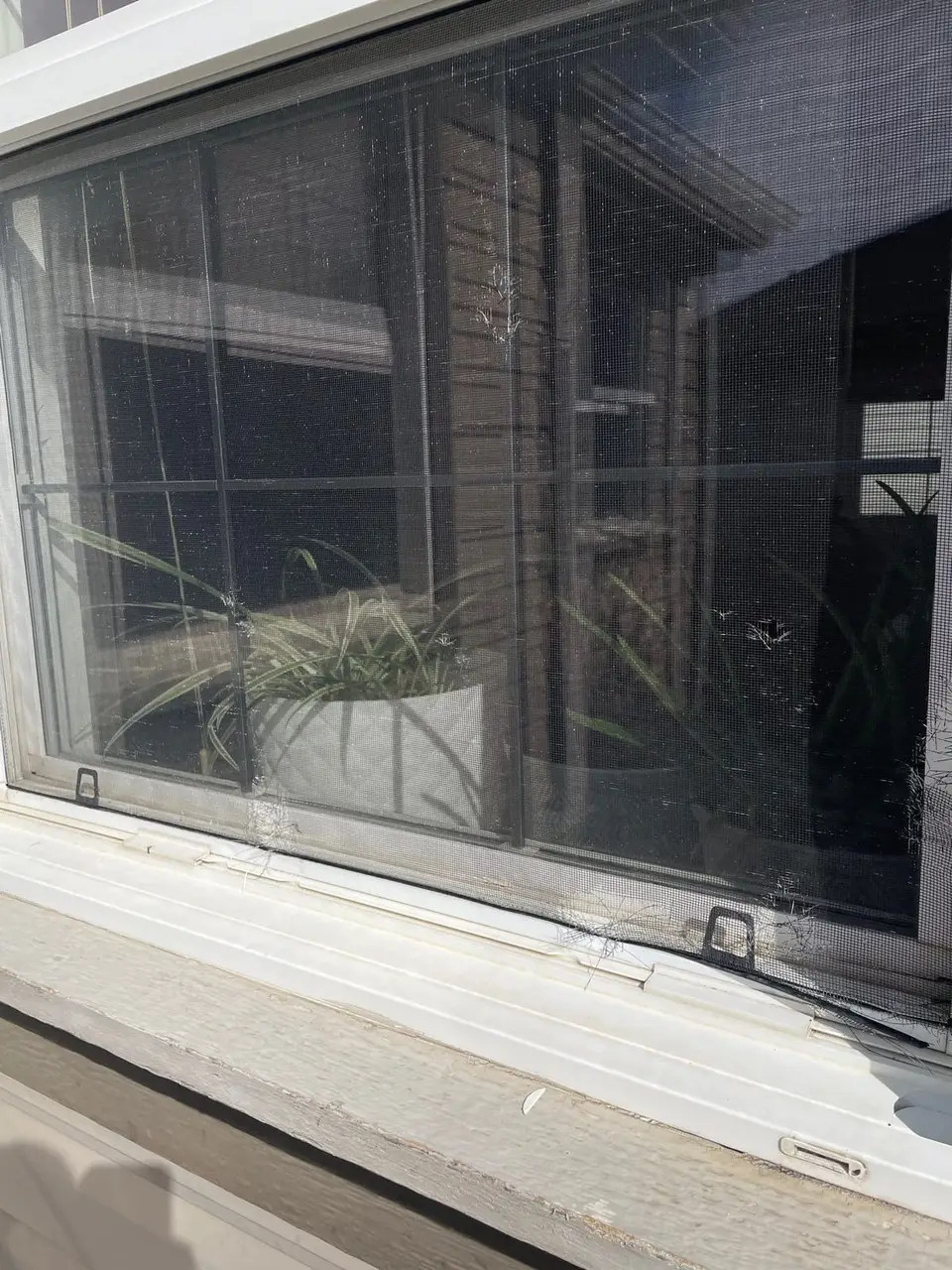 Three and more hail hits to window screen