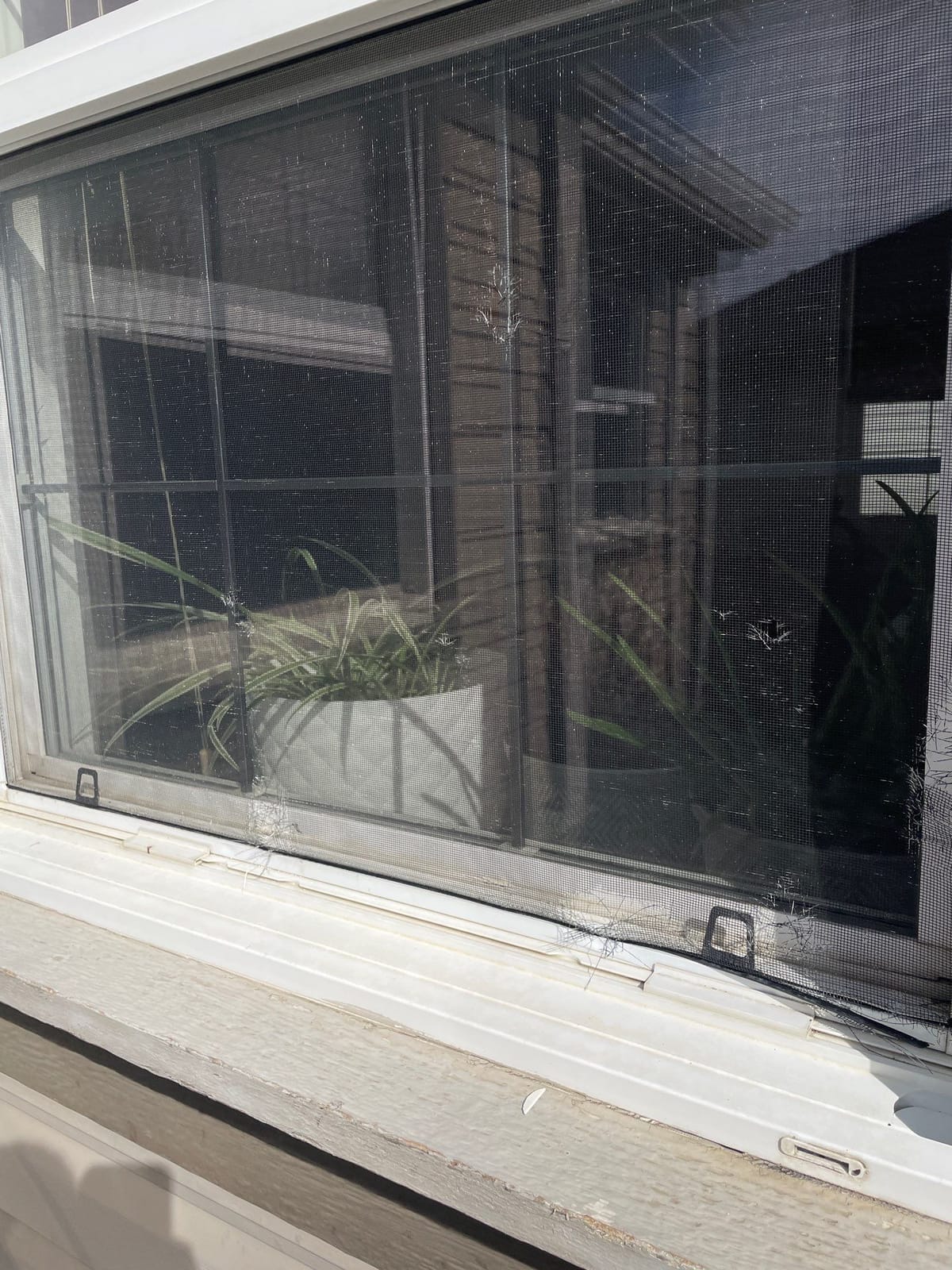 Three and more hail hits to window screen