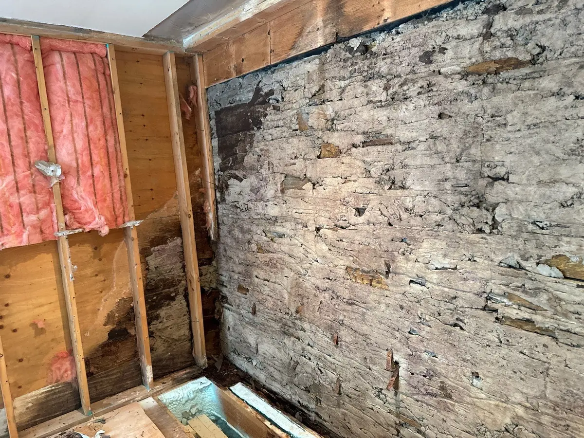 Advanced deterioration to walls and insulation caused by water infiltration to basement