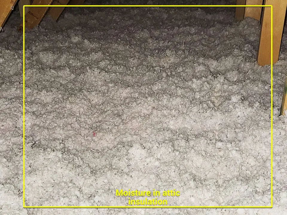 Attic insulation inspected by CPR Group Ltd in Calgary