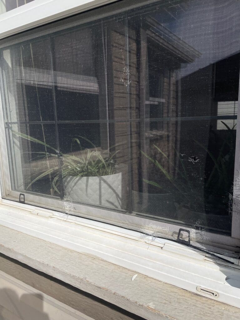 Three and more hail hits to window screen