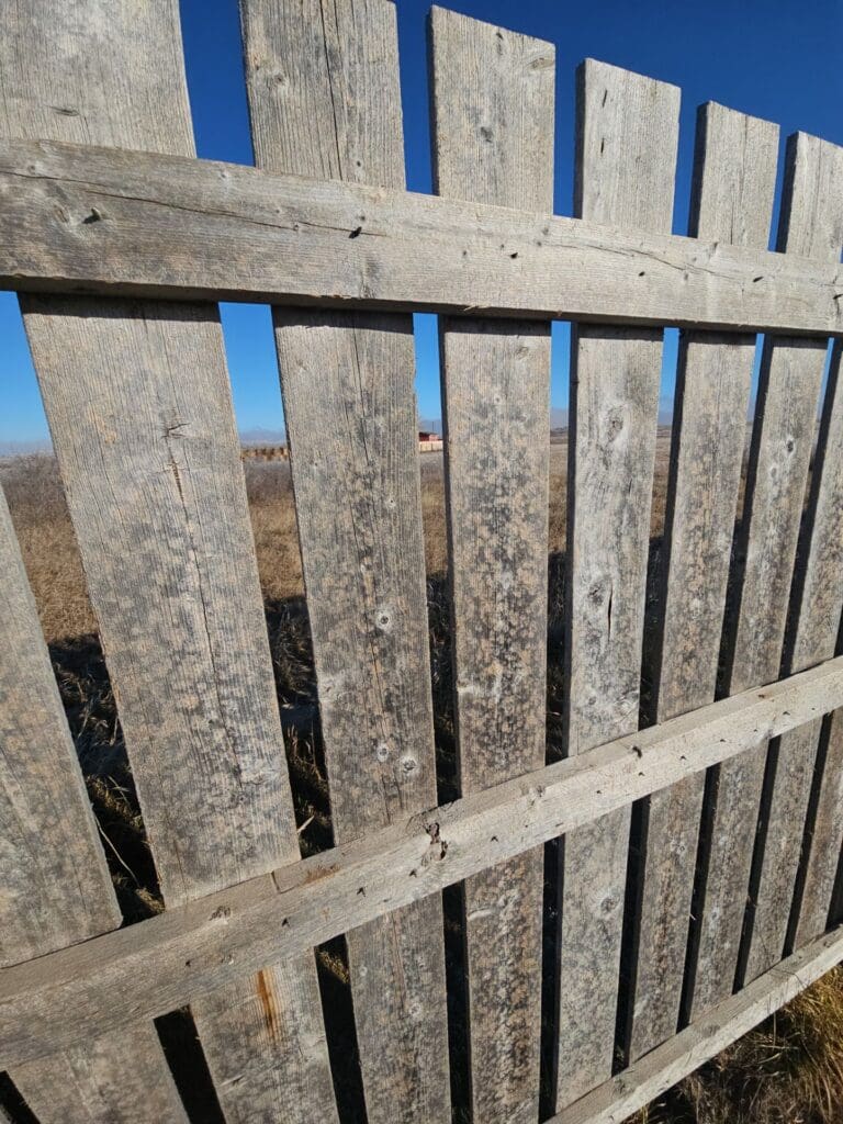 Far up photo of hail damage hits to wooden fence