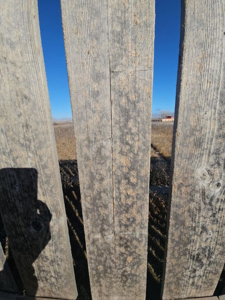 Close up of hail hits to weathered wooden fence